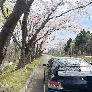 ランサーエボリューション Ⅶ