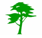 Southern Tree Care Logo