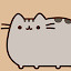 Cats Pusheen HD Wallpapers Themes