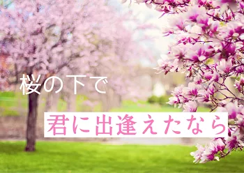 桜の下で君に出逢えたなら