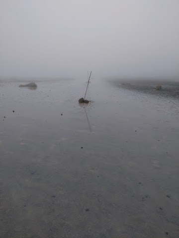 Tongariro Alpine Crossing South Crater Misty Fog