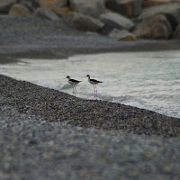 Mare d'inverno di 