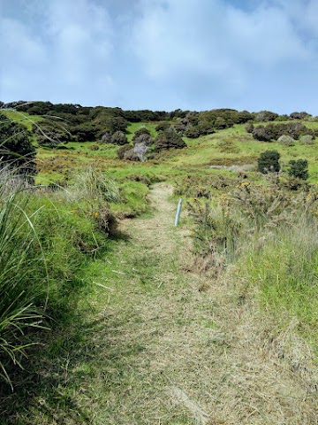 Te Whara Track Ocean Beach Starting Point