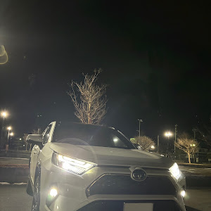 RAV4 AXAP54