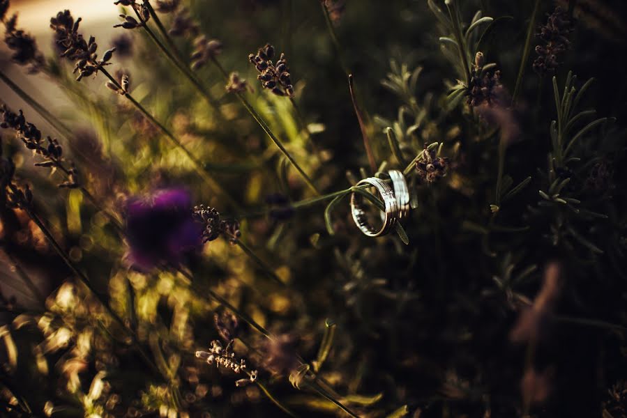 Fotógrafo de casamento Gábor Badics (badics). Foto de 24 de outubro 2018