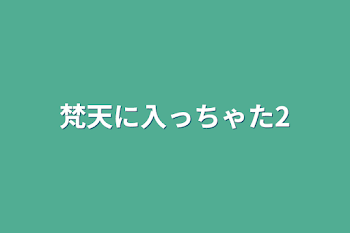 梵天に入っちゃた2