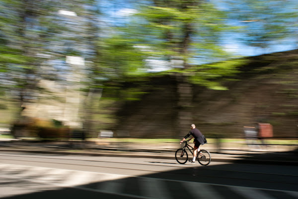 Pedalata a Torino tra ombre, luci, giardini e castelli reali di SilviaCo