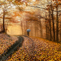 Camminando nei colori dell'autunno di 