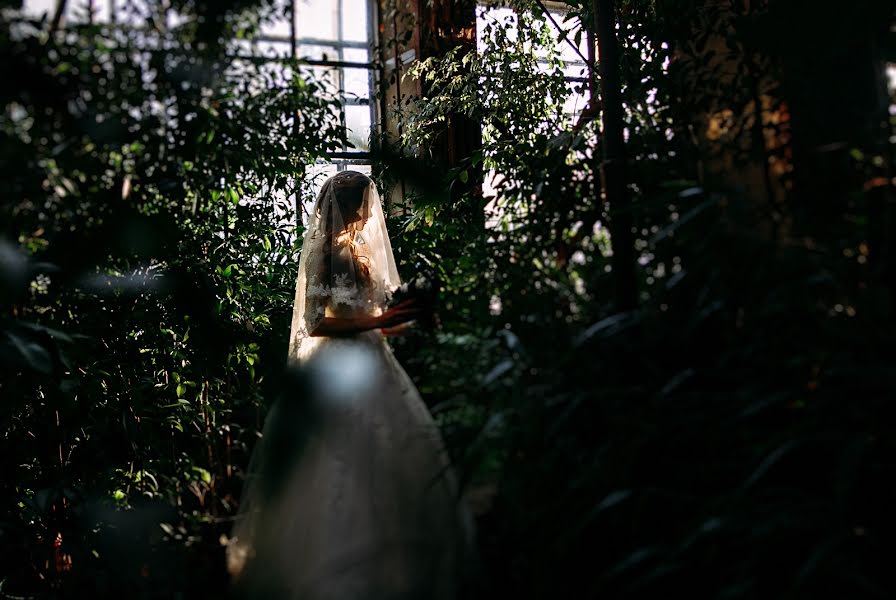 Photographe de mariage Elena Vakhovskaya (helenavah). Photo du 19 février 2016