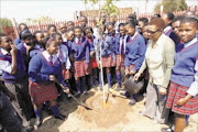 DEVELOPMENTAL: Tree planting at Fons Luminus High School in Soweto to honour the ongoing  revival of Soweto by several nation-building partners.   PHOTO: ANTONIO MUCHAVE