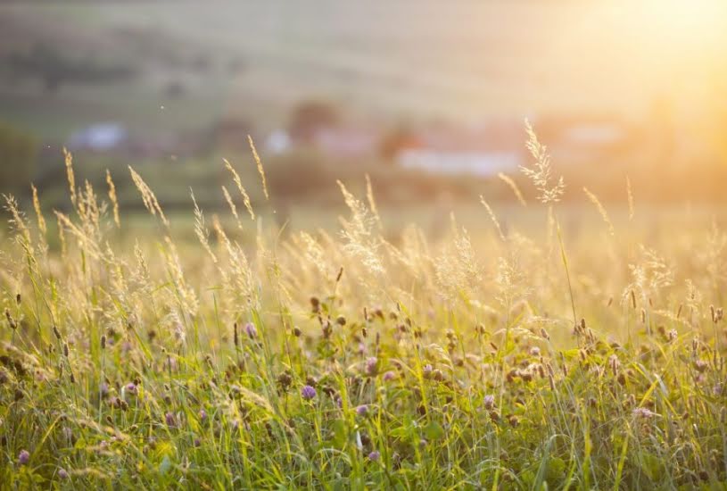  Vente Terrain à bâtir - 648m² à La Croix-en-Touraine (37150) 