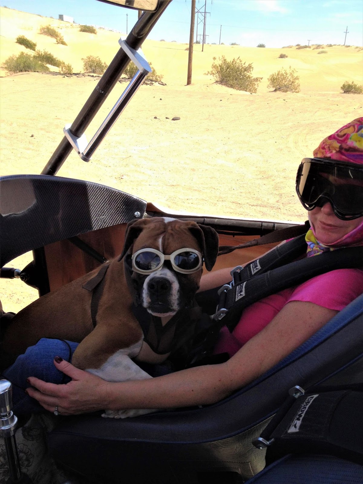 sand dune with dog and woman both wearing goggles