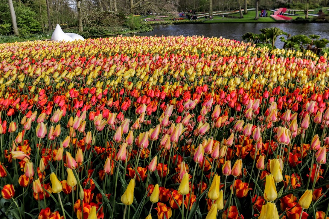 Парк Keukenhof, Ouddorp и Rotterdam "на закуску" - апрель 2017