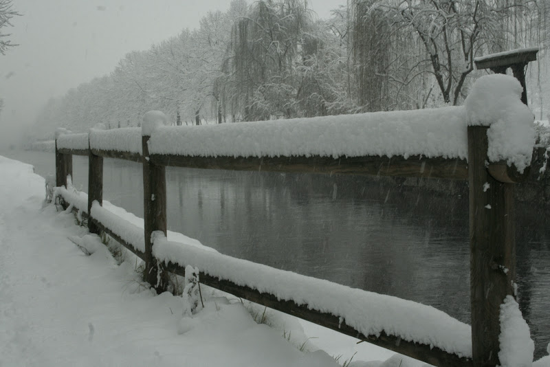 lungo il naviglio di Gp