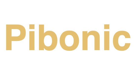 Pibonic