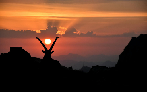 Sunset screenshot 1