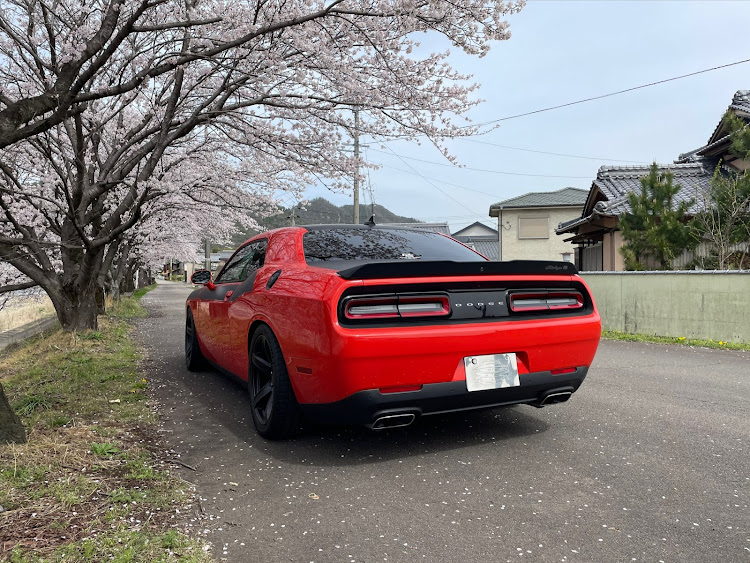 チャレンジャーの桜・桜とコラボに関するカスタム事例の投稿画像2枚目