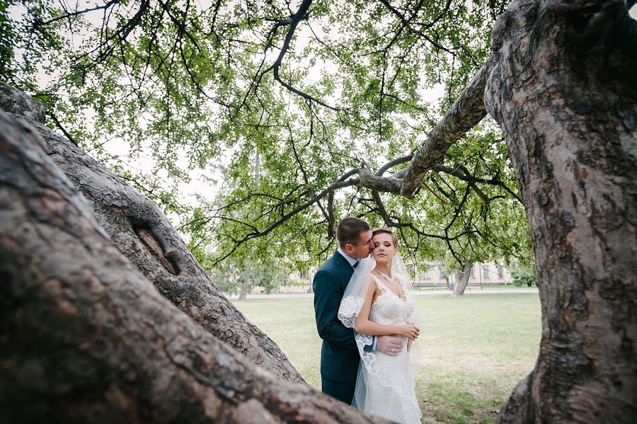 Wedding photographer Aleksandr Shishkin (just-painter). Photo of 2 November 2015