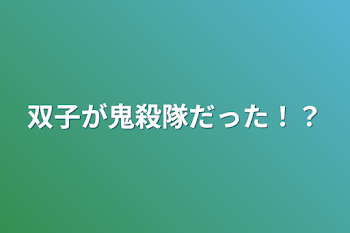 双子が鬼殺隊だった！？