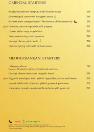 Udaipuri menu 5