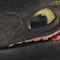 Item logo image for Toothless