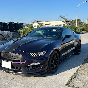 シェルビー GT350