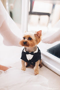 Fotografo di matrimoni Marzhan Kadysheva (kadyshevaphoto). Foto del 11 gennaio 2019