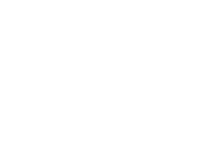 Tangelo Software Klant Logo - Auckland Airport
