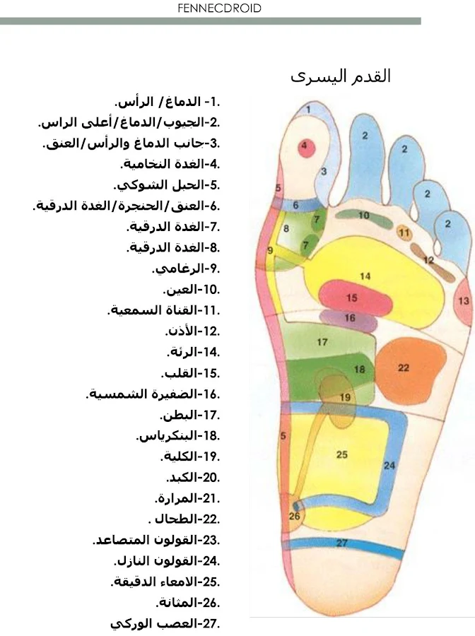 امراض القدمين واليدين IID0ukRTgvvxkfi0Z6ZP9FAHSTAgE-UzWsXeyn35Mi5rHSeEGZAA2VMNN4tZORPhSA=h900-rw