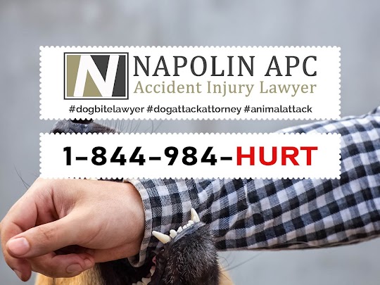 Dog Bite Personal Injury Lawyer Orange California