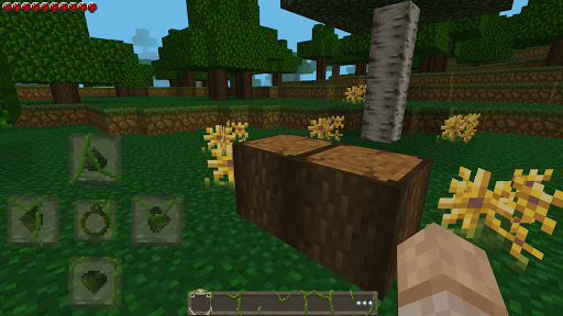 Jungle Craft