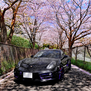 ケイマン S