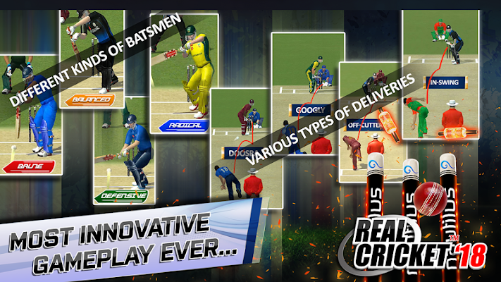 Real Cricket™ 18 Screenshot Image