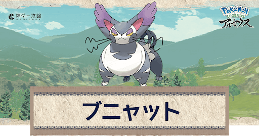 アルセウス ブニャットの進化と出現場所 おすすめ性格 技 ポケモンアルセウス攻略wiki 神ゲー攻略