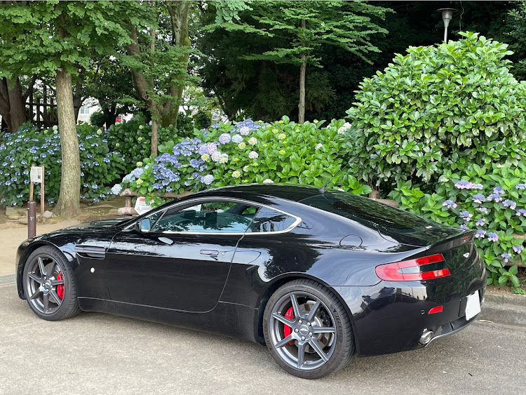 ヴァンテージ クーペのアストンマーチン　V8ヴァンテージ・休日の楽しみ♪・梅雨の晴れ間・紫陽花とコラボ・愛車越しの紫陽花に関するカスタム事例の投稿画像3枚目