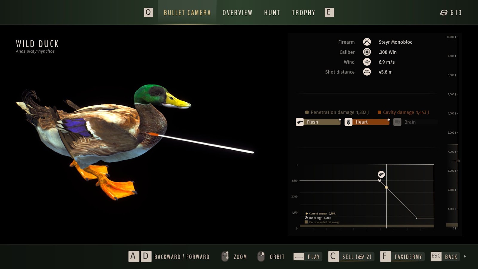 Where to Find Wild Duck Location in Way Of The Hunter – QM Games