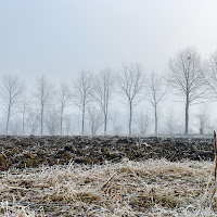 gennaio in campagna di 