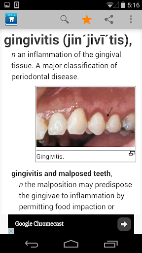 Dental Dictionary by Farlex