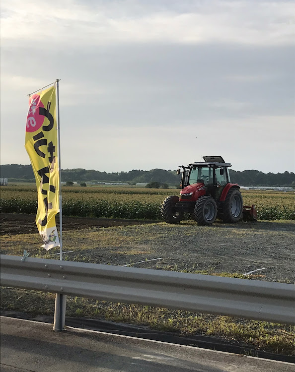 ヴォクシーのドライブ・トウモロコシ畑・かんかん娘🌽🌽に関するカスタム事例の投稿画像3枚目