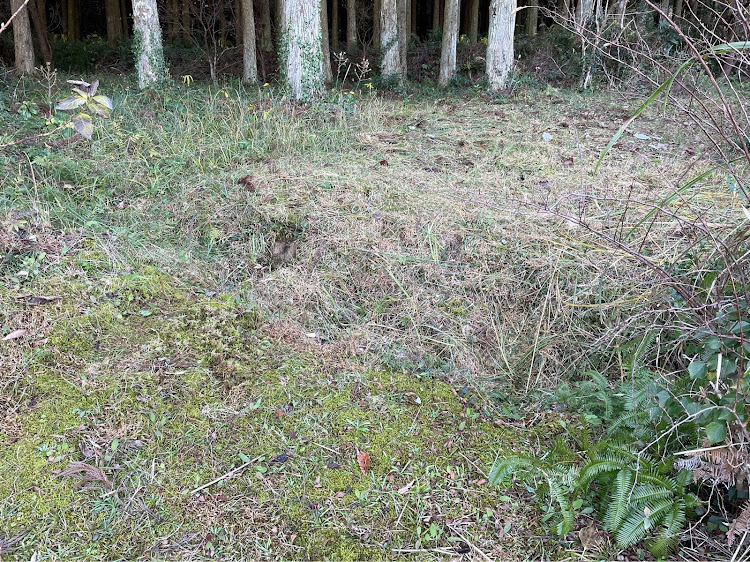 ジムニーの溝・山に入れないに関するカスタム事例の投稿画像1枚目