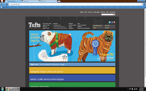 Tufts University