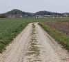 📷 Alle hens aan dek: heel dicht bij de start van Parijs - Roubaix moet vreselijke strook aangepakt worden