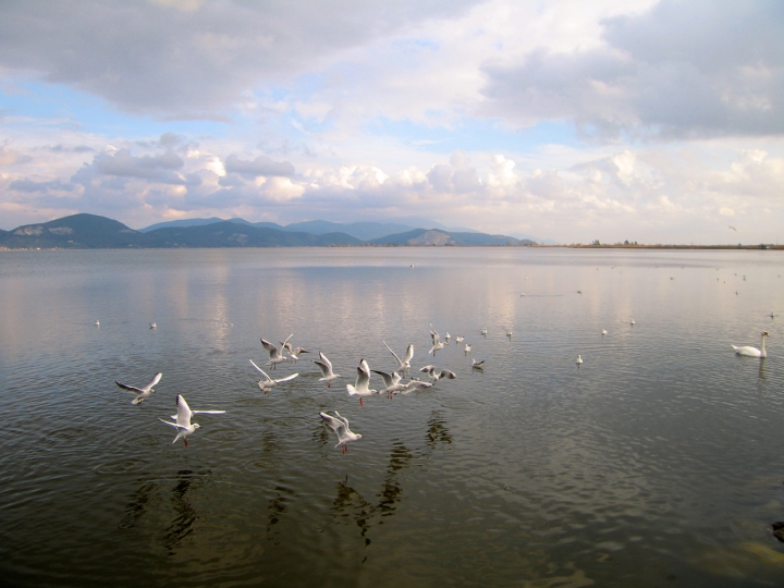 Giochi sul lago di vagero