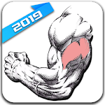 Cover Image of 下载 Gym Exercises & Workouts 2.92 APK