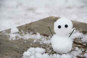 雪 ノ 宮 家 は 自 由 人 ！