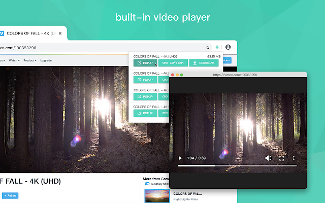 Video Downloader for Web