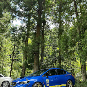 WRX STI VAB