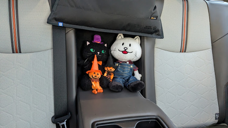 RAV4のrav4adventure・グレイッシュブルー・KRMオフ会・阿蘇ファームランドMT・ステッカーチューンに関するカスタム事例の投稿画像3枚目