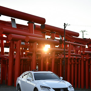 GS AWL10