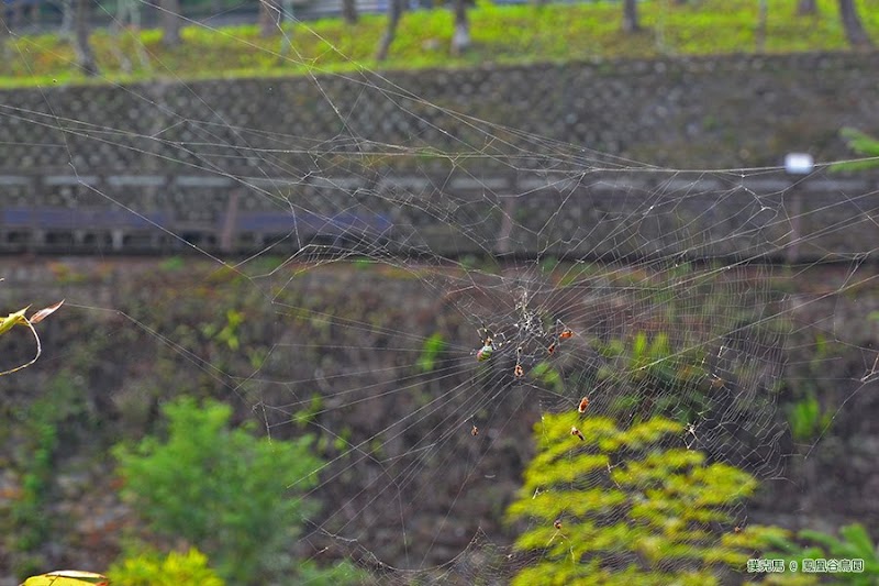 鳳凰谷鳥園生態園區